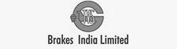 Breaks India Limited